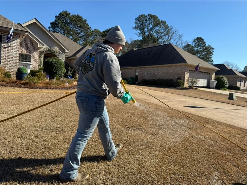 Florentine Lawn & Spraying Solutions — Knocking Out the Weeds Already in Your Yard