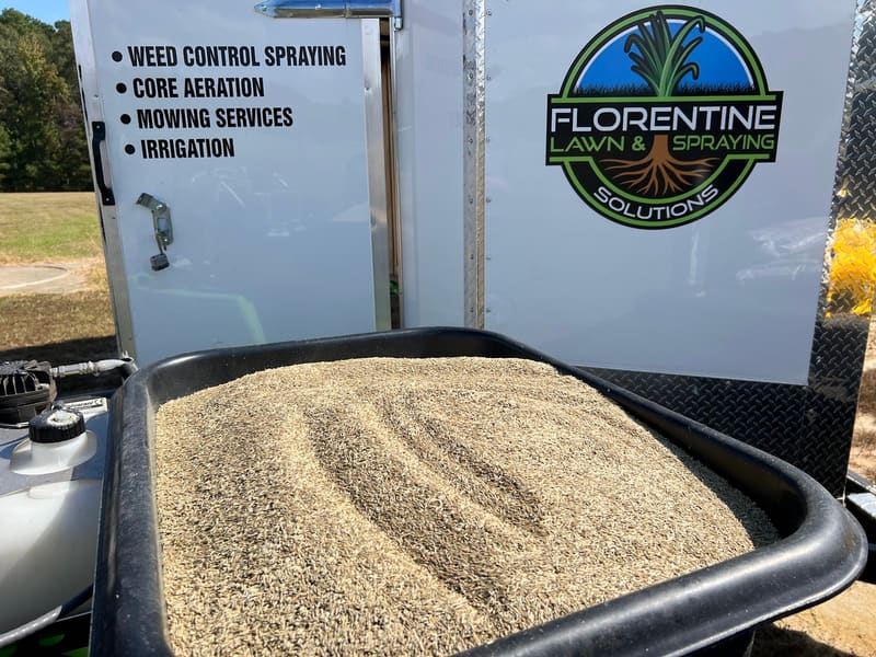 Florentine Lawn & Spraying Solutions — Feeding Roots for Deeper, Greener Growth