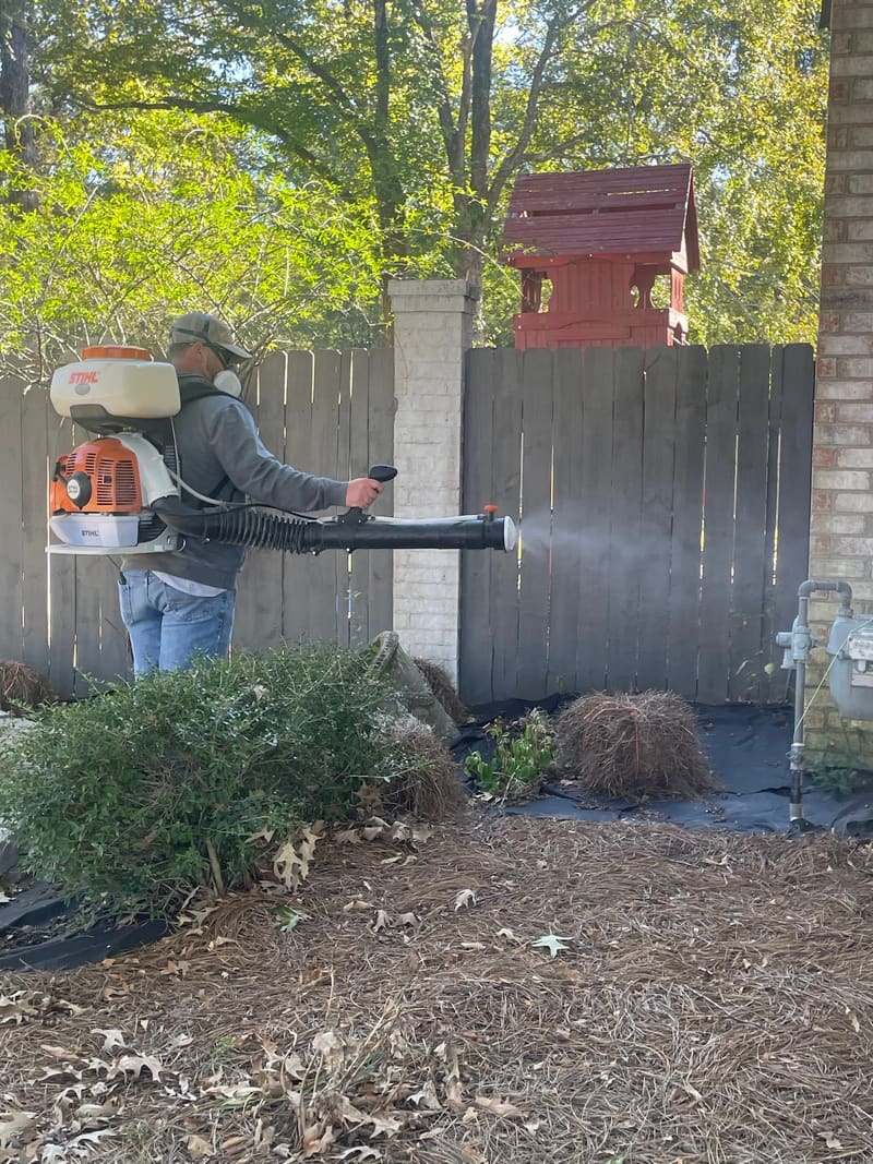Florentine Lawn & Spraying Solutions — Safe, Targeted Treatments That Keep Your Yard Pest-Free