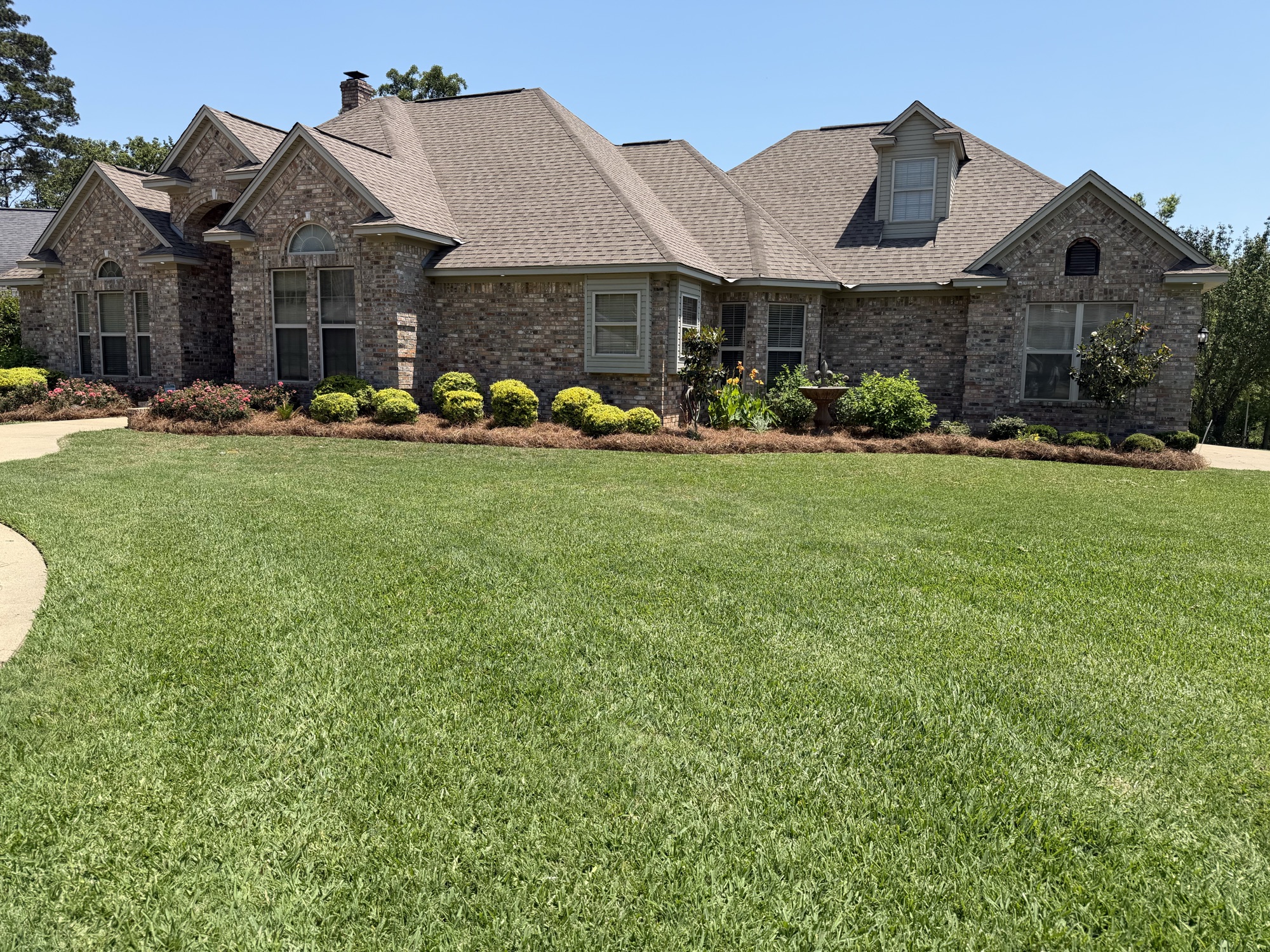 Florentine Lawn & Spraying Solutions work photo 2
