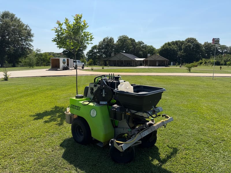 Florentine Lawn & Spraying Solutions work photo 3