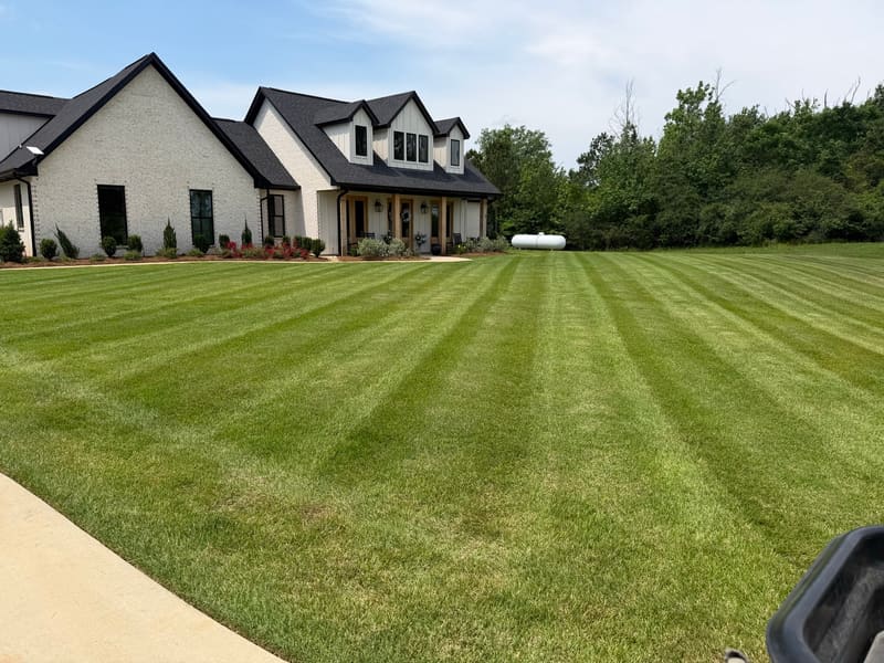 Florentine Lawn & Spraying Solutions work photo 4