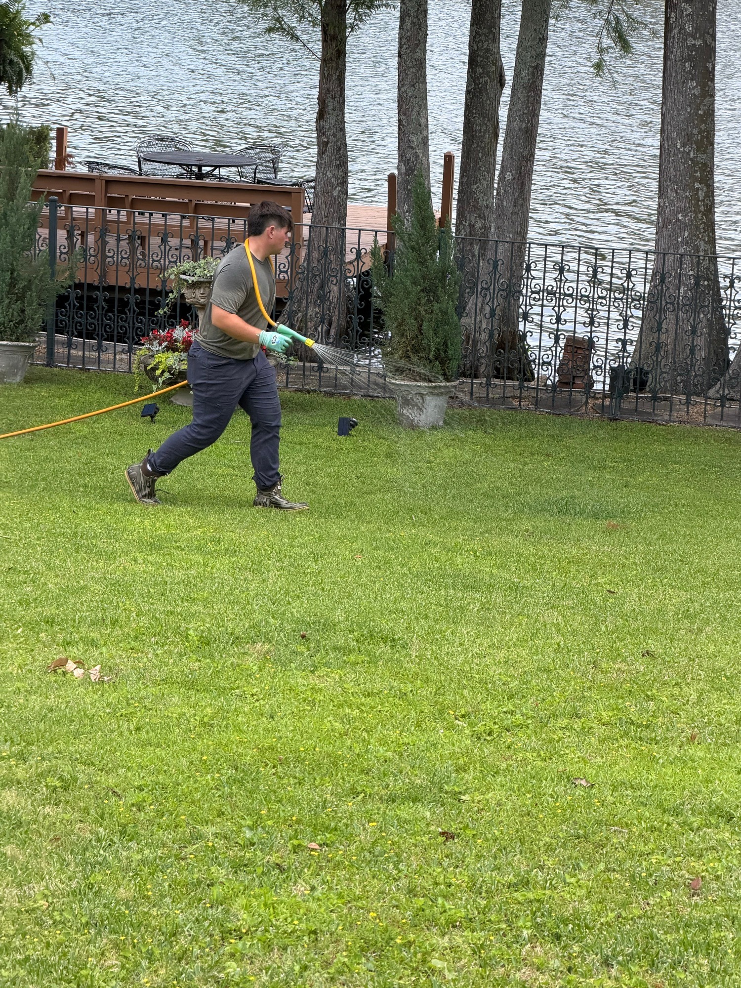 Florentine Lawn & Spraying Solutions work photo 6
