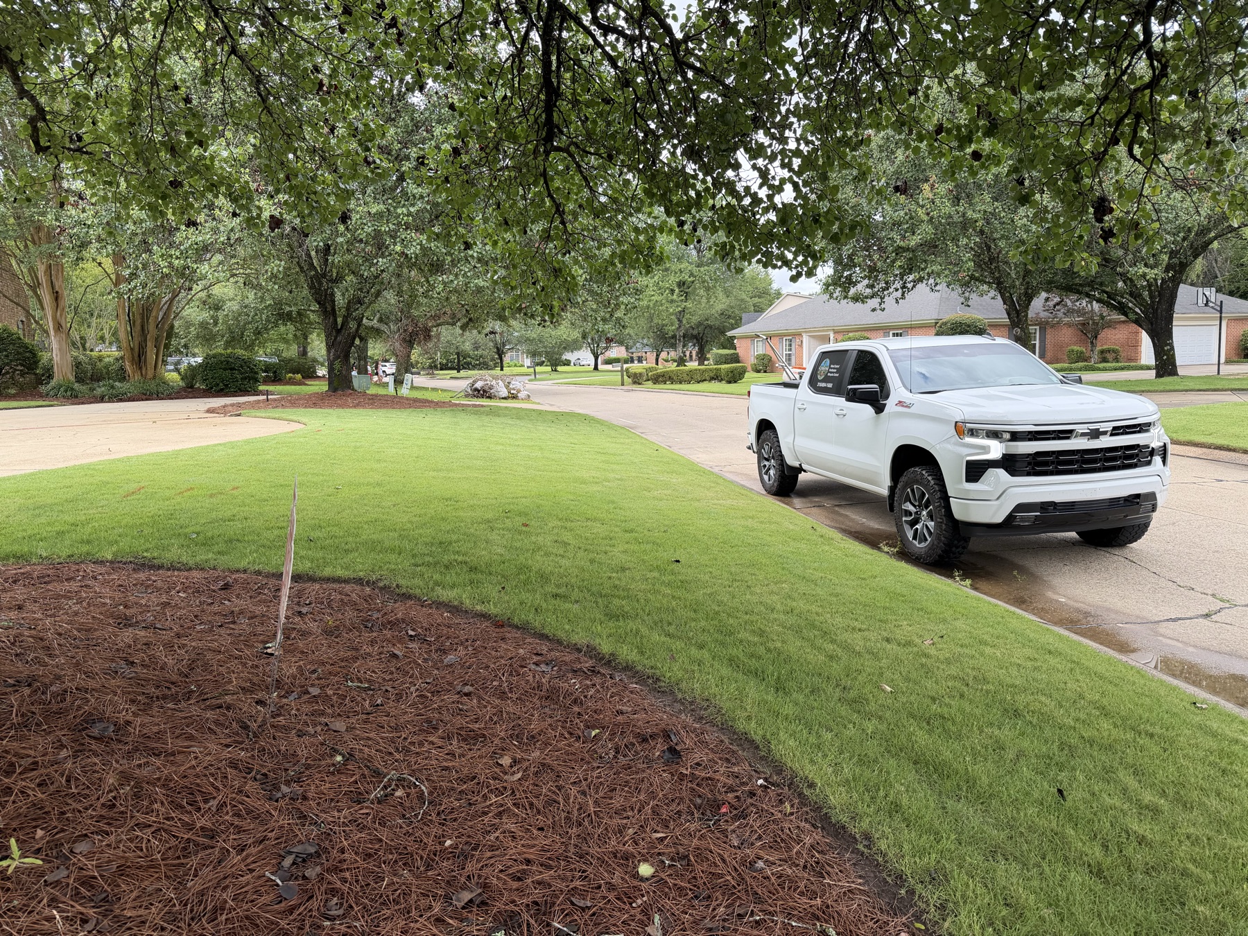 Florentine Lawn & Spraying Solutions work photo 7