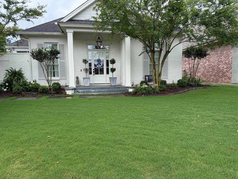 Florentine Lawn & Spraying Solutions work photo 8
