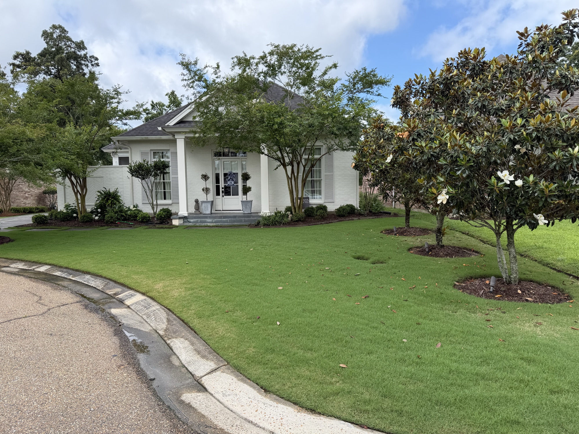 Florentine Lawn & Spraying Solutions work photo 9