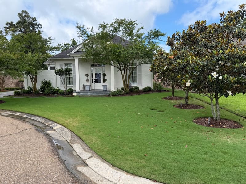 Florentine Lawn & Spraying Solutions work photo 9