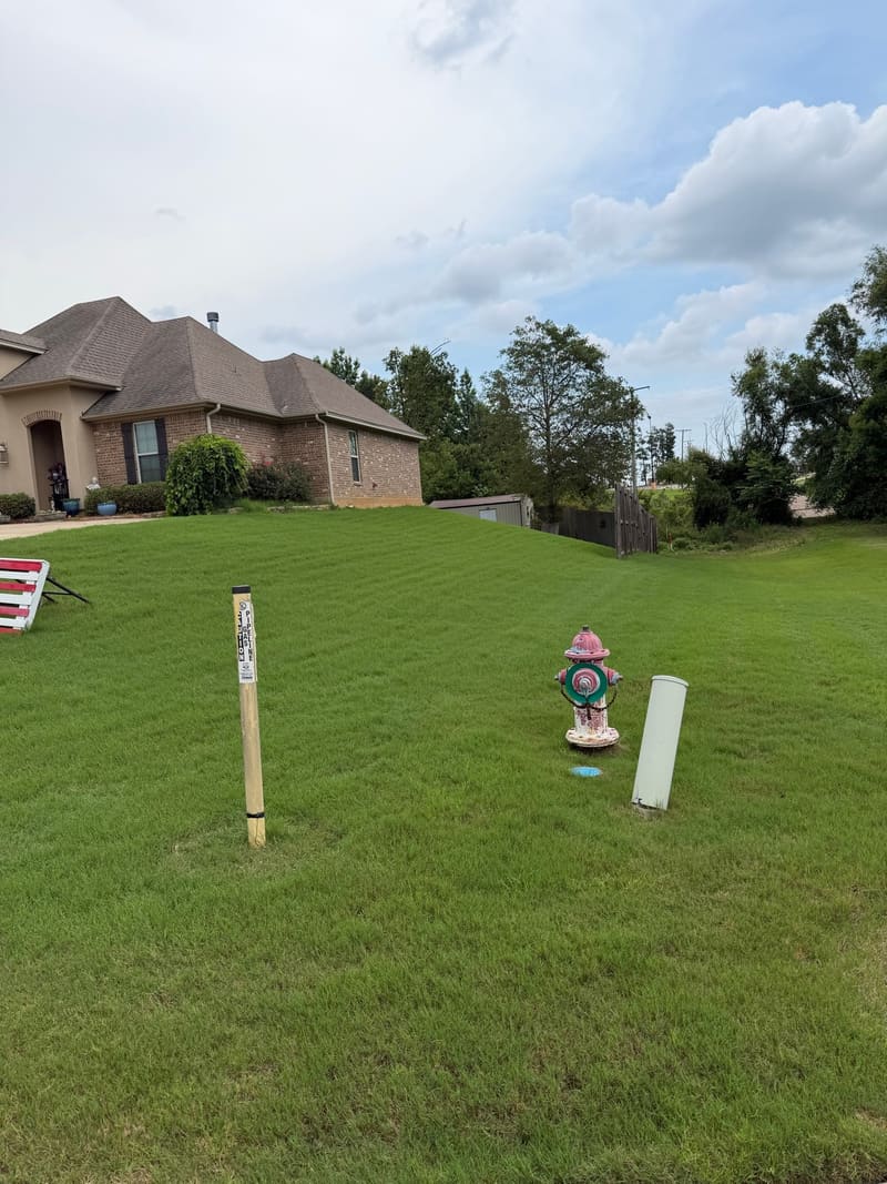 Florentine Lawn & Spraying Solutions work photo 12