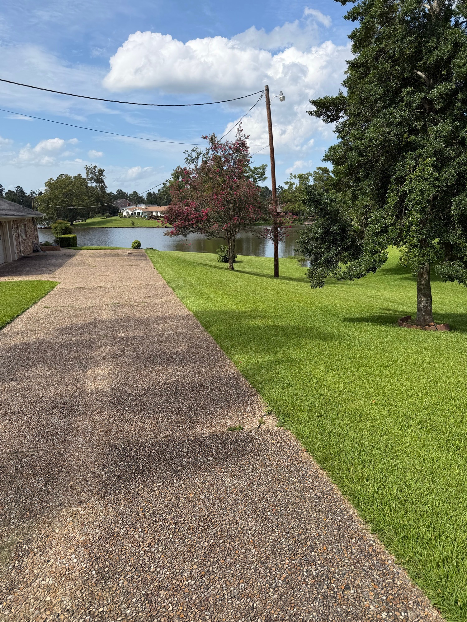 Florentine Lawn & Spraying Solutions work photo 13