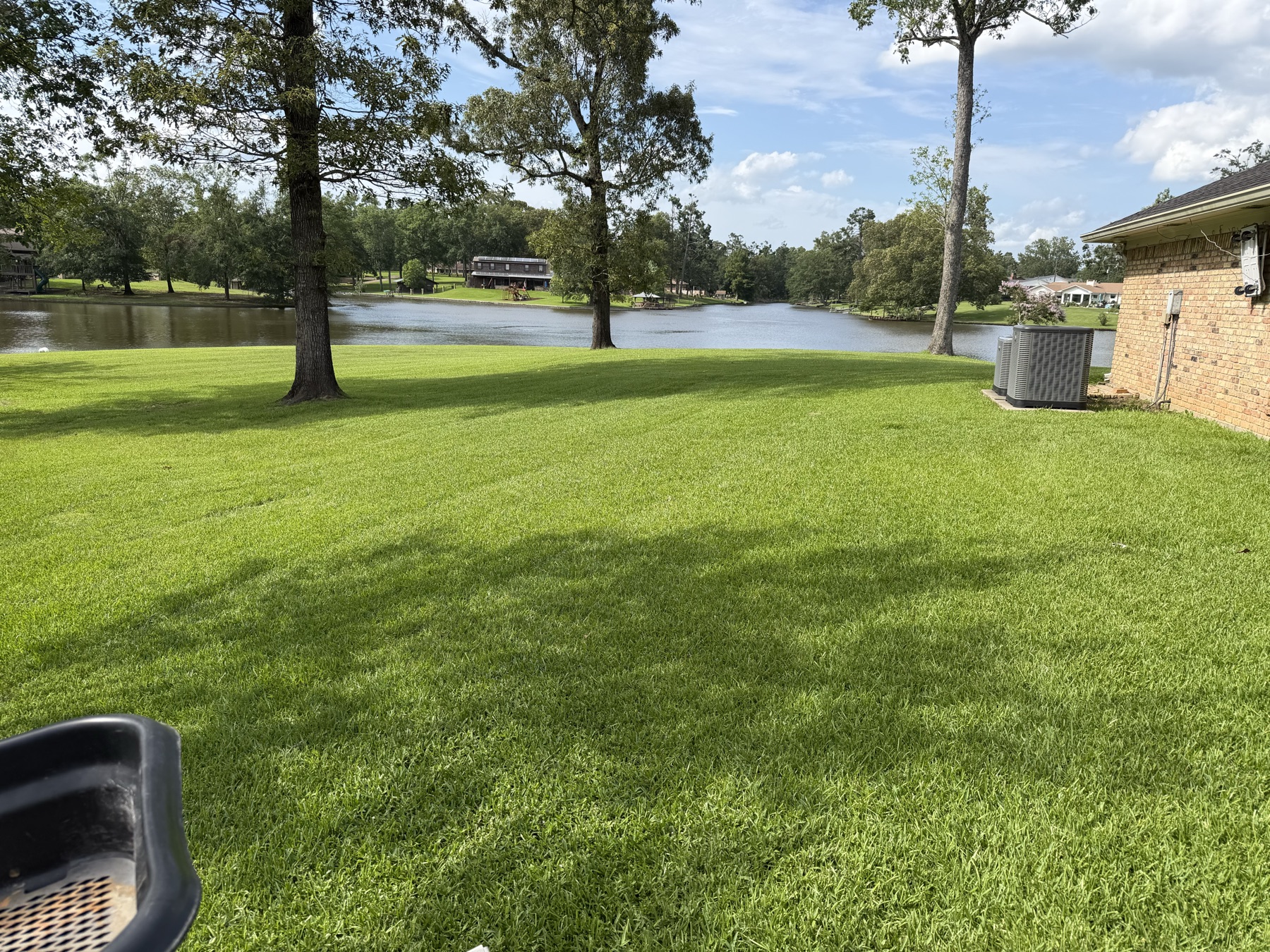 Florentine Lawn & Spraying Solutions work photo 15