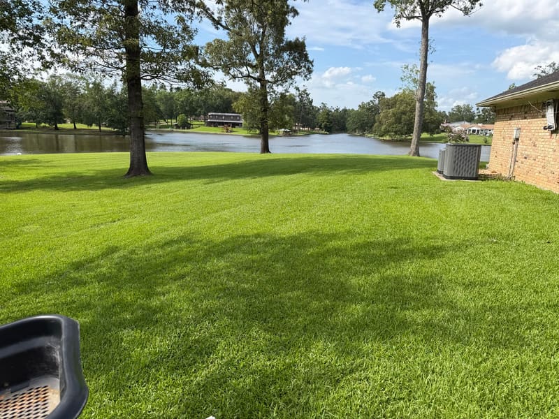 Florentine Lawn & Spraying Solutions work photo 15