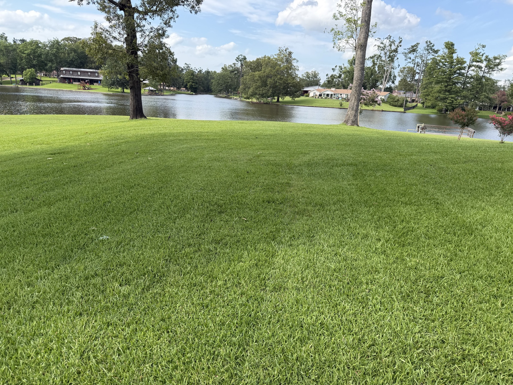 Florentine Lawn & Spraying Solutions work photo 16