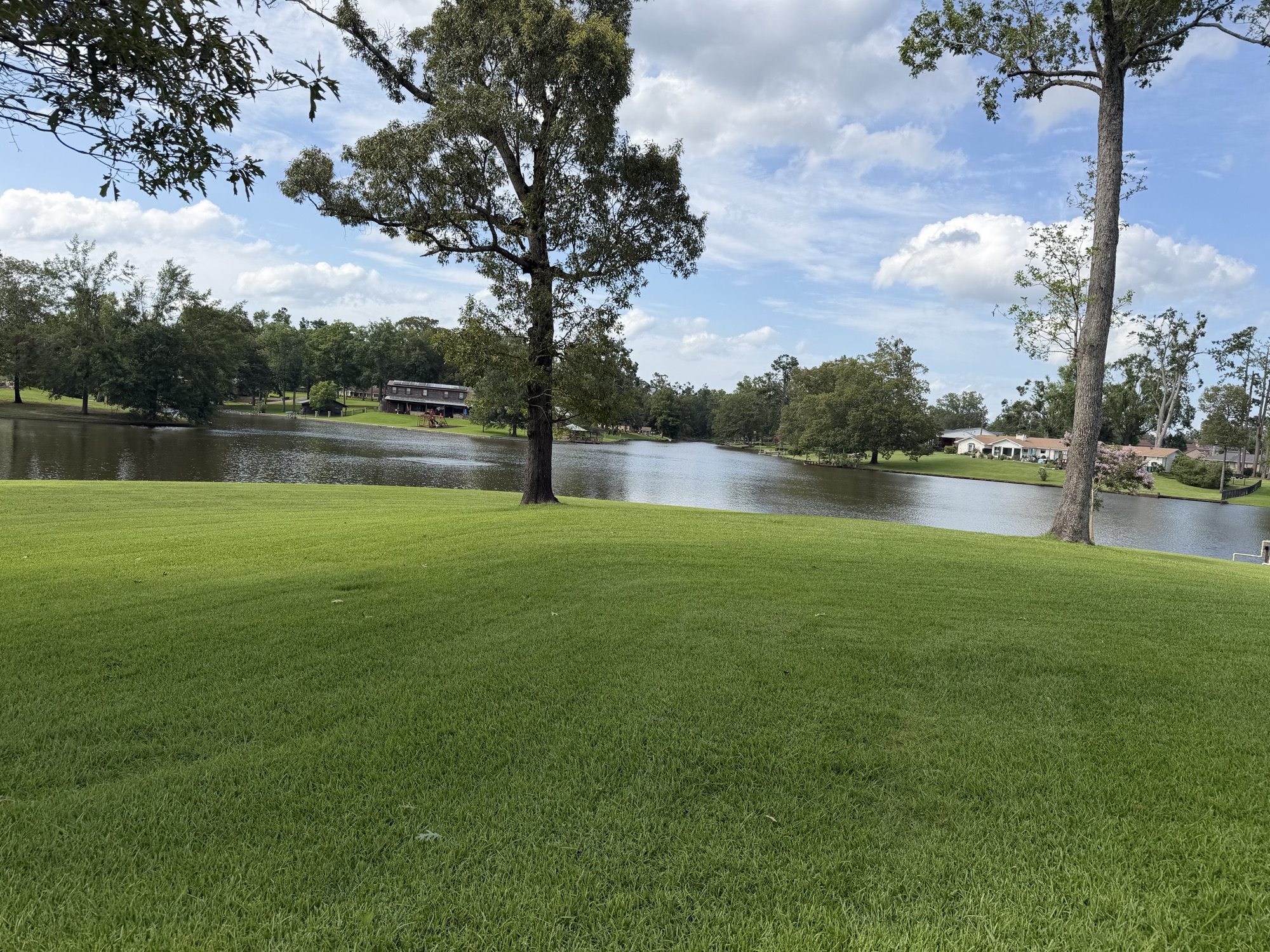 Florentine Lawn & Spraying Solutions work photo 17