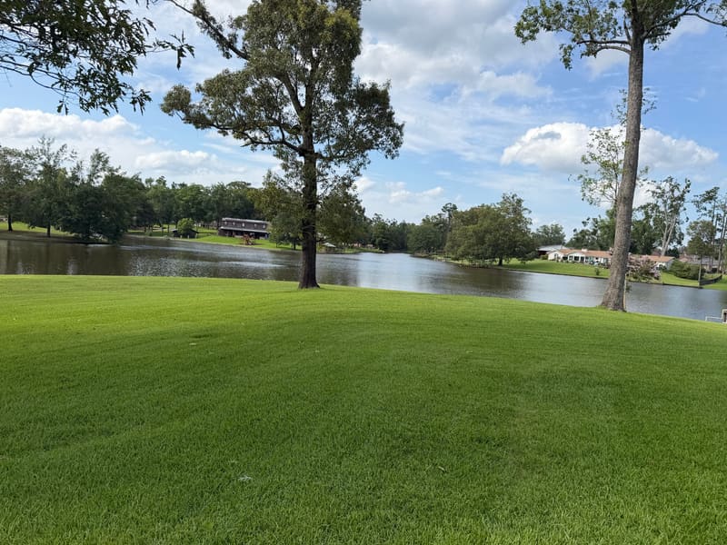 Florentine Lawn & Spraying Solutions work photo 17