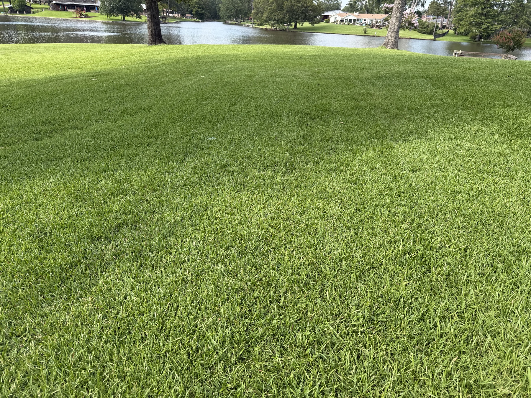 Florentine Lawn & Spraying Solutions work photo 18