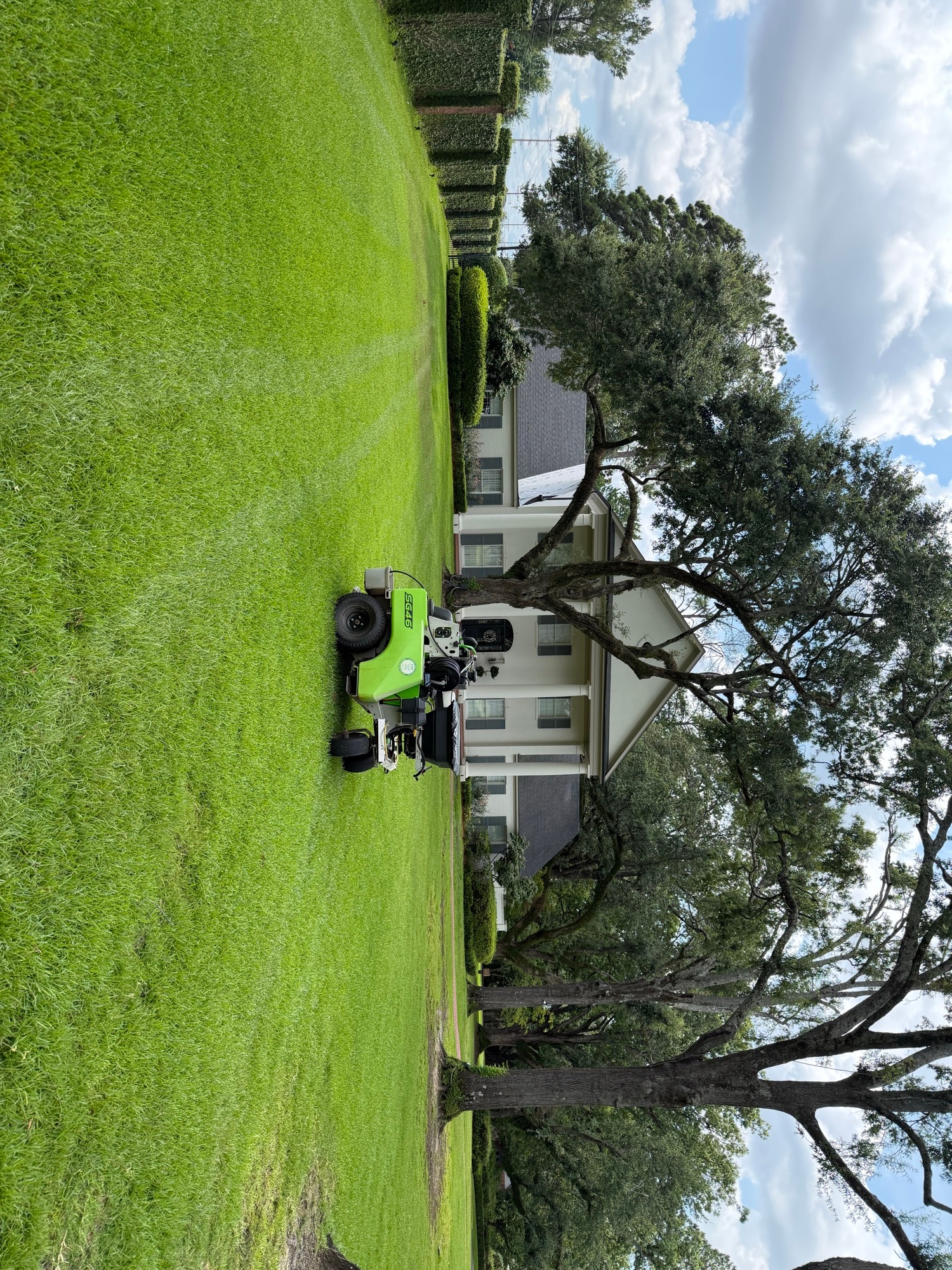 Florentine Lawn & Spraying Solutions work photo 22