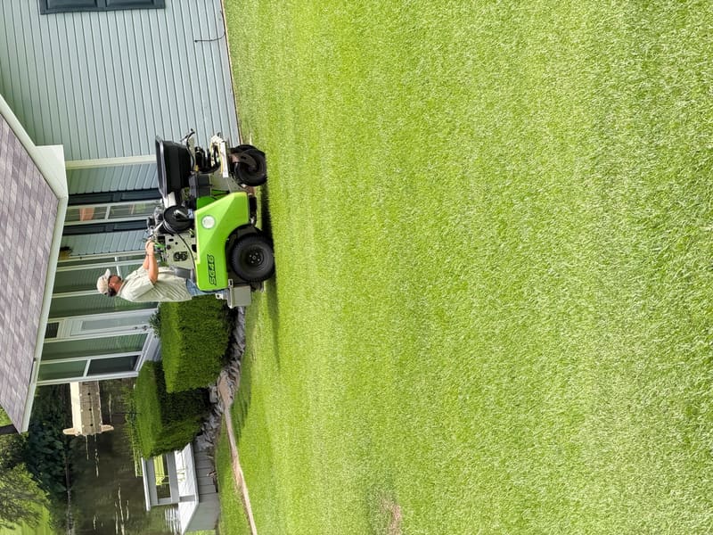 Florentine Lawn & Spraying Solutions work photo 23