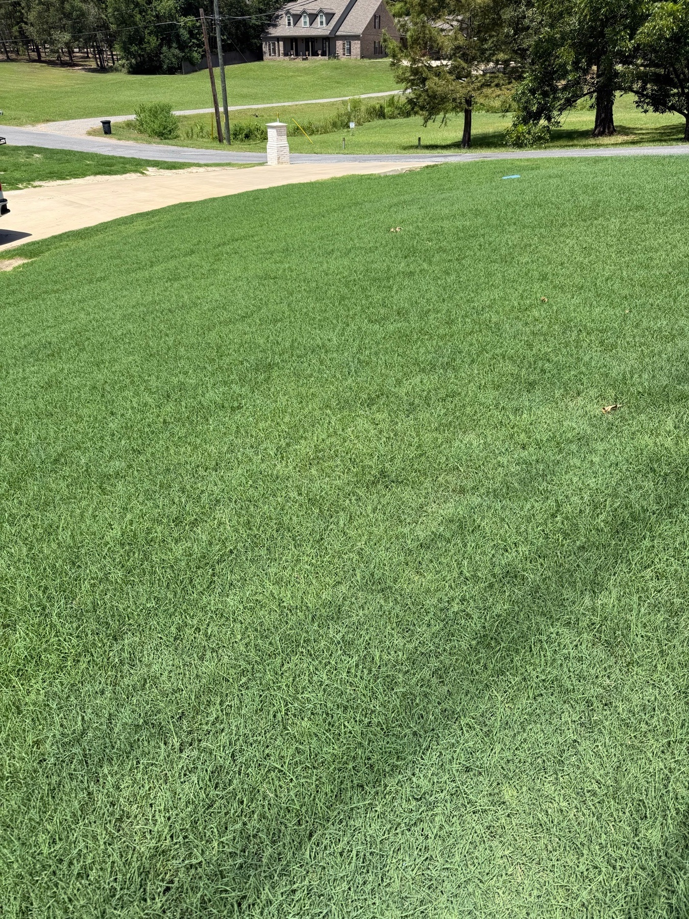 Florentine Lawn & Spraying Solutions work photo 25