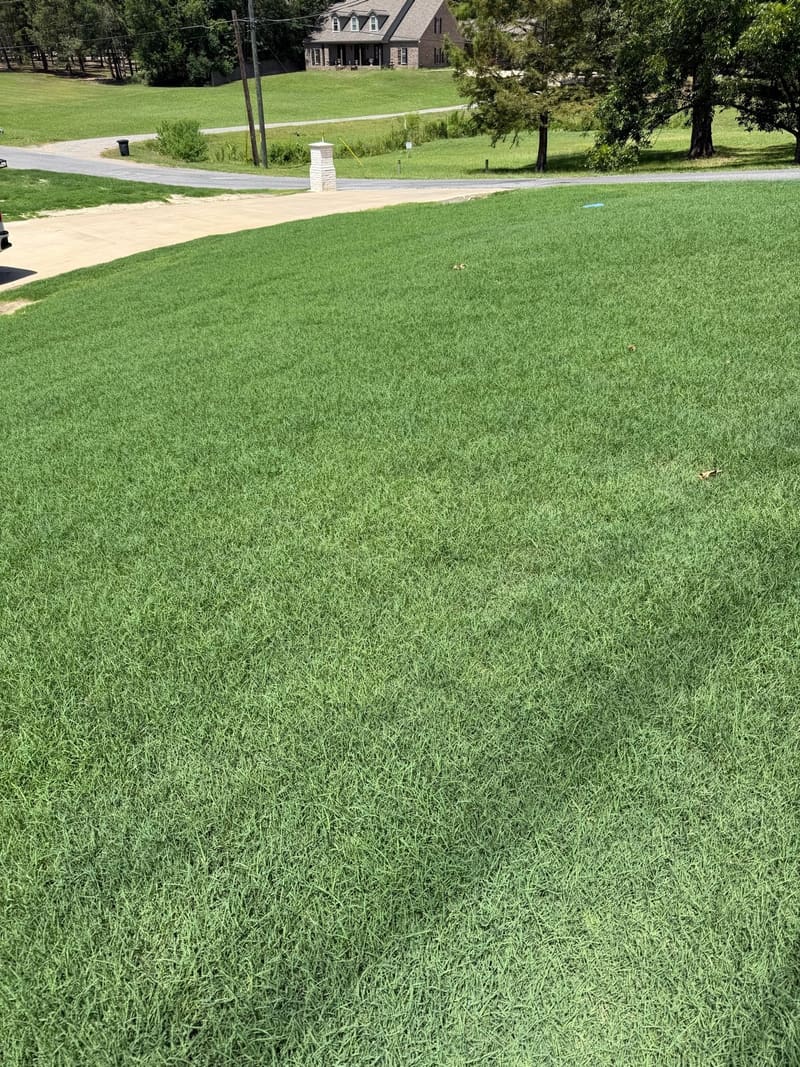 Florentine Lawn & Spraying Solutions work photo 25