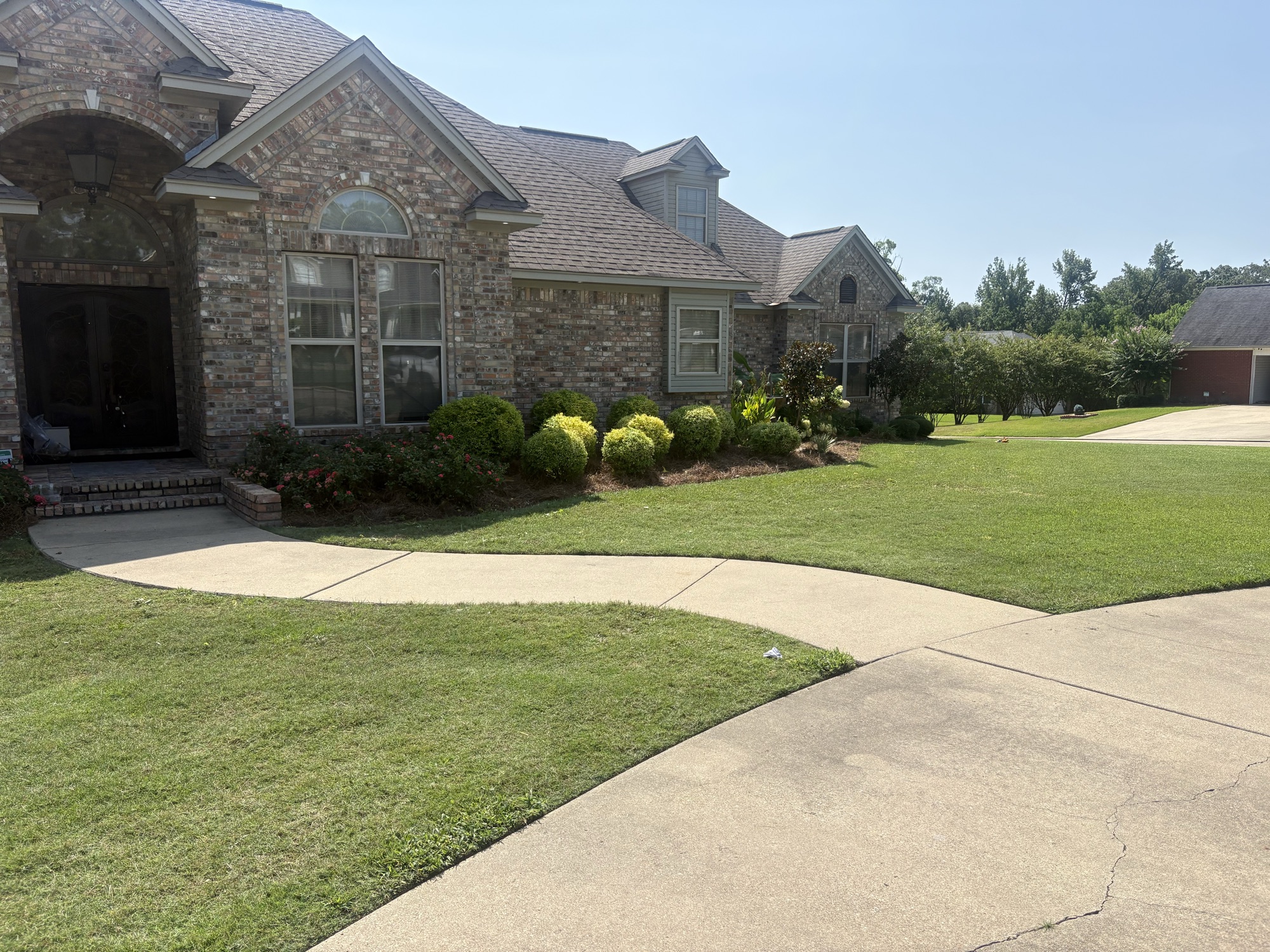 Florentine Lawn & Spraying Solutions work photo 26