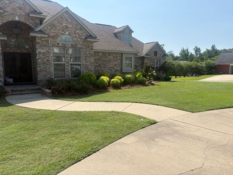 Florentine Lawn & Spraying Solutions work photo 26