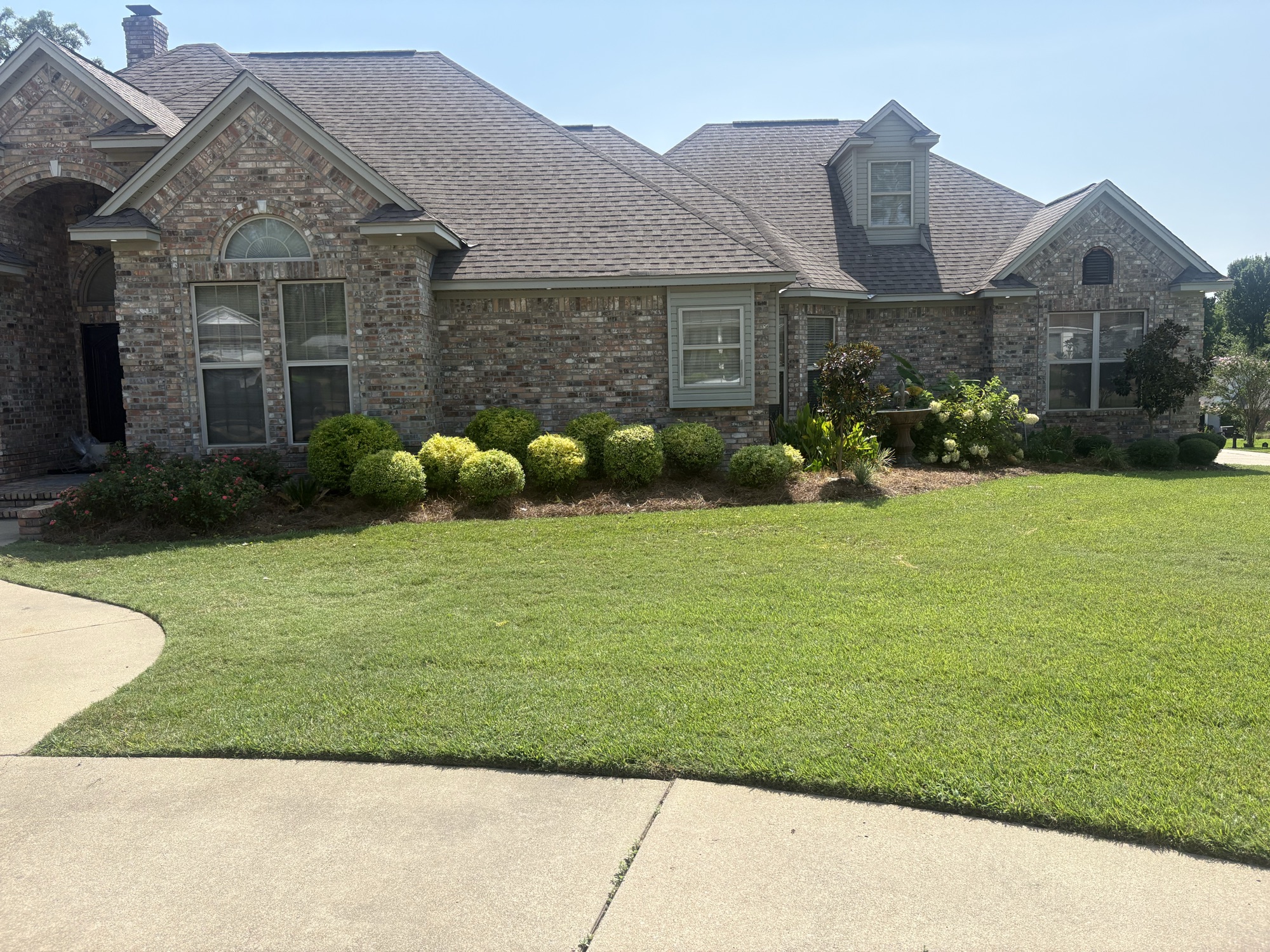Florentine Lawn & Spraying Solutions work photo 27