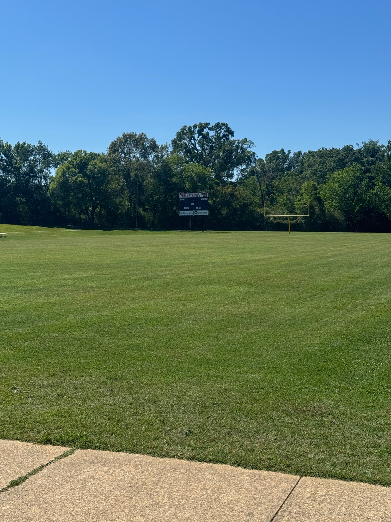 Florentine Lawn & Spraying Solutions work photo 28