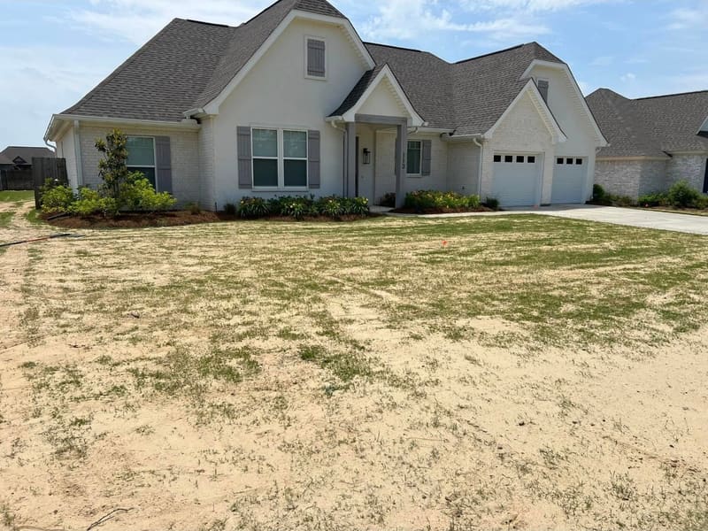 Florentine Lawn & Spraying Solutions work photo 29